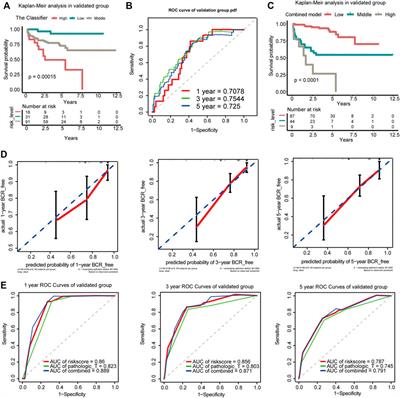 Clinical and Biological Significance of DNA Methylation-Driven Differentially Expressed Genes in Biochemical Recurrence After Radical Prostatectomy